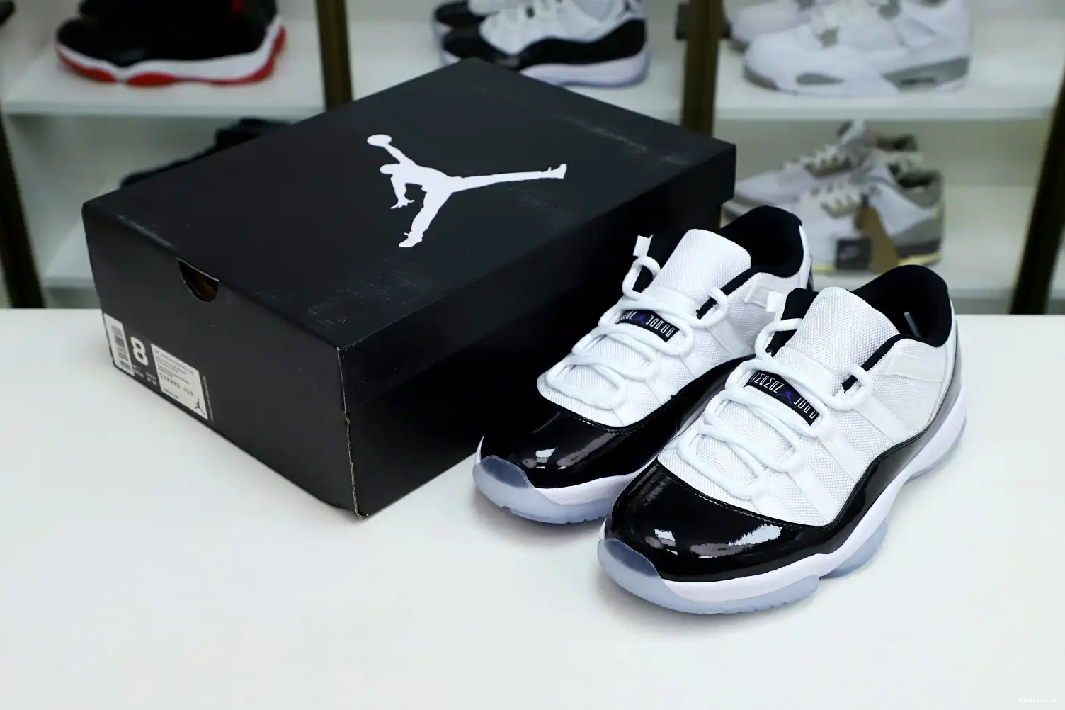 RETRO CONCORD 11 LOW JORDAN Kimikick AIR 0530